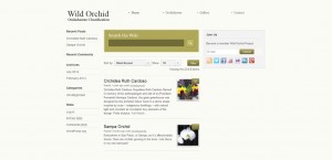 Wild Orchid Info Sites of Silicon Palms - Wild Orchid Info