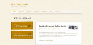 Wild Orchid Brazil Sites of Silicon Palms - Wild Orchid Brazil